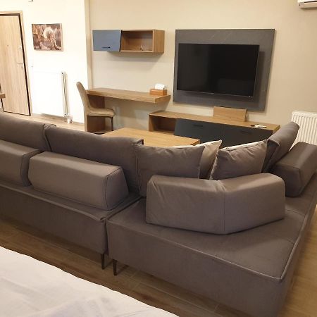 Olive Deluxe Apartment Karditsa Exterior photo