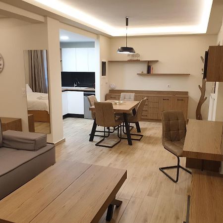 Olive Deluxe Apartment Karditsa Exterior photo
