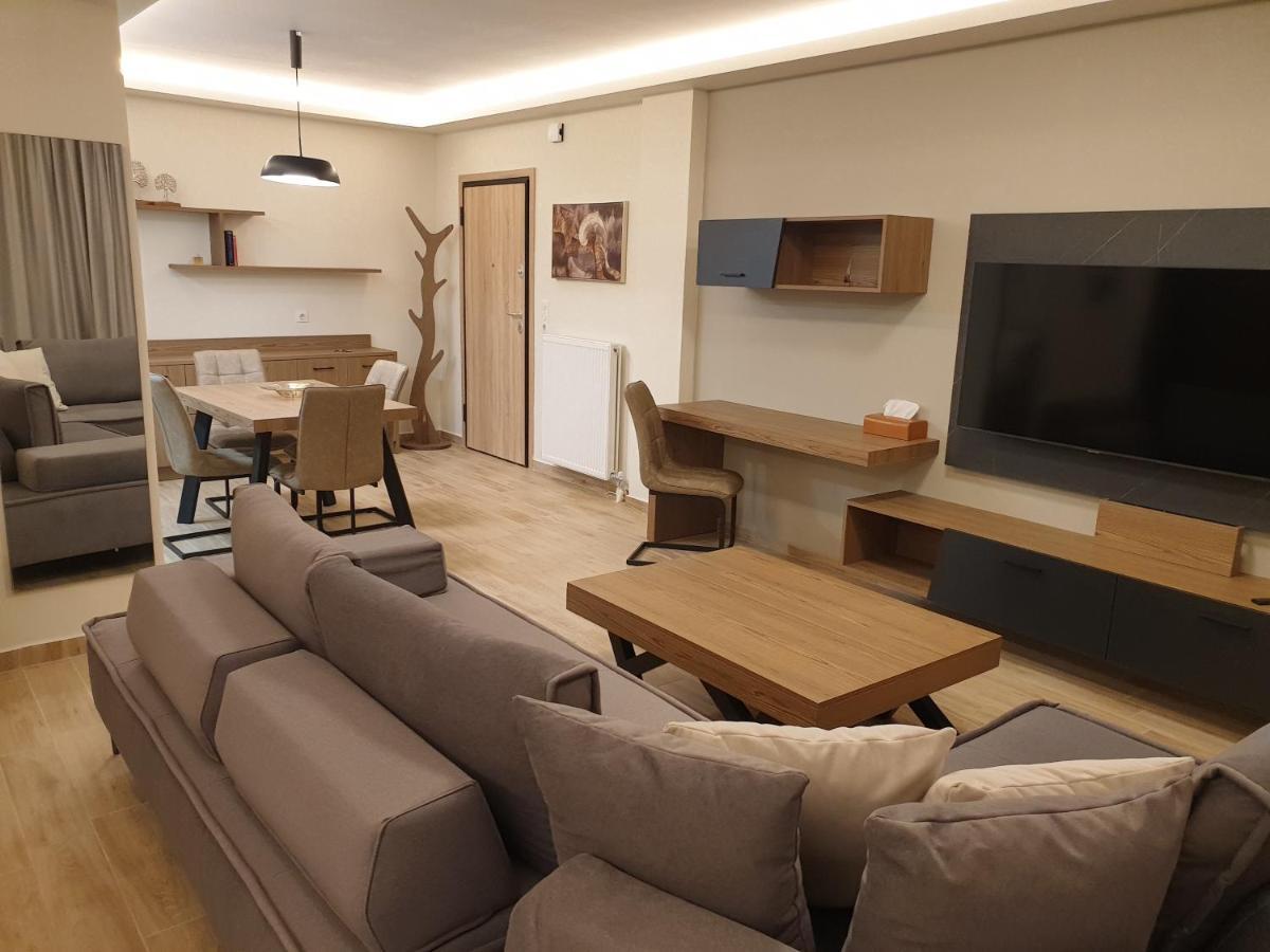Olive Deluxe Apartment Karditsa Exterior photo