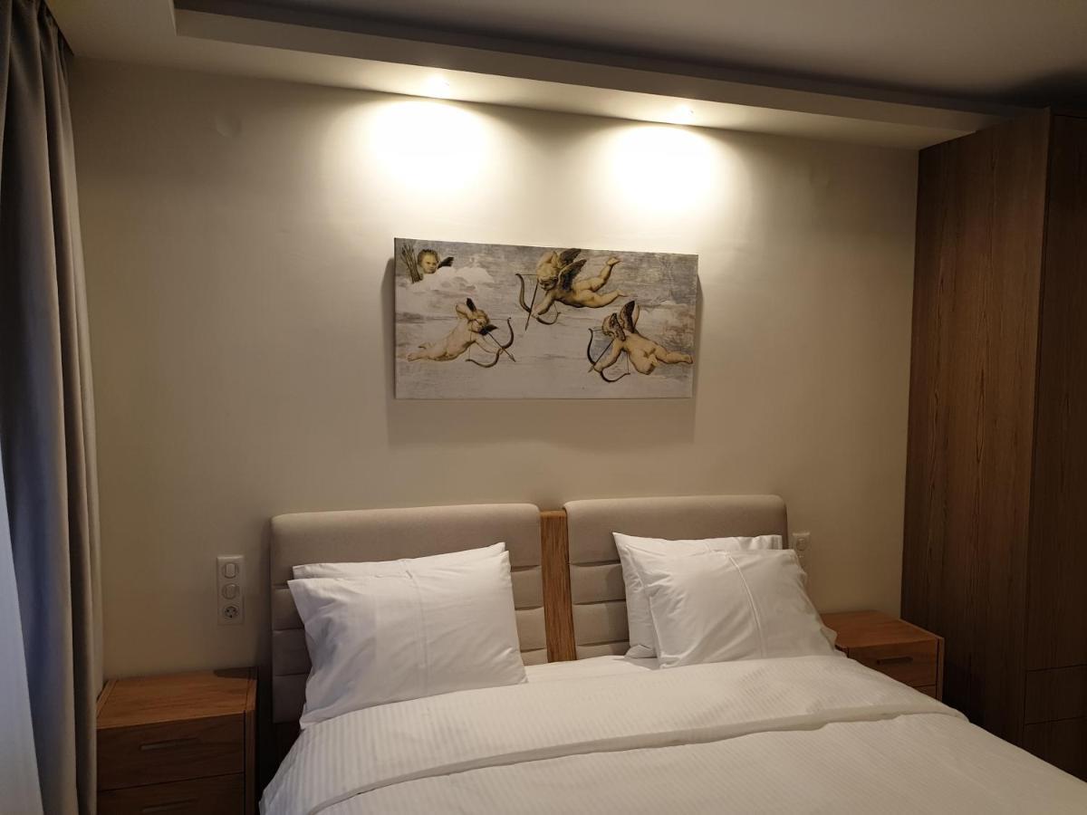 Olive Deluxe Apartment Karditsa Exterior photo