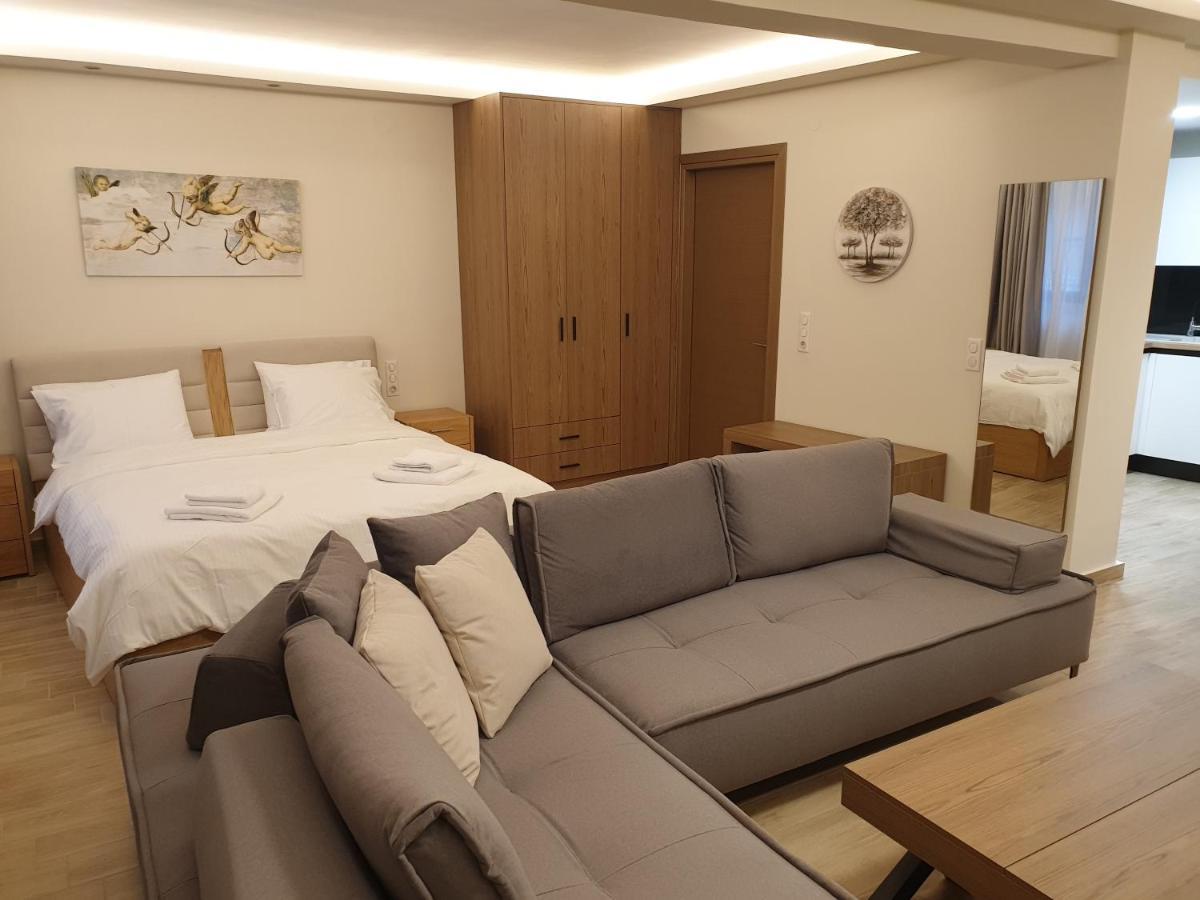 Olive Deluxe Apartment Karditsa Exterior photo