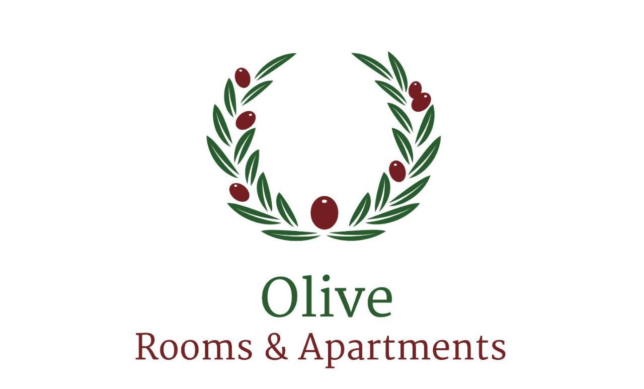 Olive Deluxe Apartment Karditsa Exterior photo